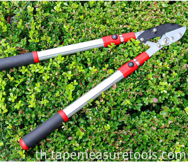 โรงงานขายส่งเหล็ก SK5 ยาวถึง pruner telescopic pruner